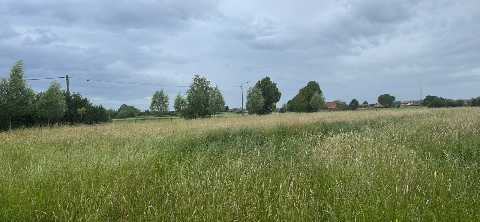 Hooi, Dieren en Toebehoren, Ophalen