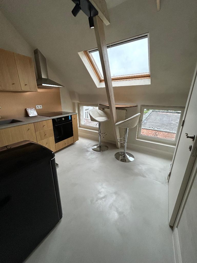 Stijlvol appartement te huur - Gent Coupure, Immo, Appartementen en Studio's te huur, Gent, 35 tot 50 m²