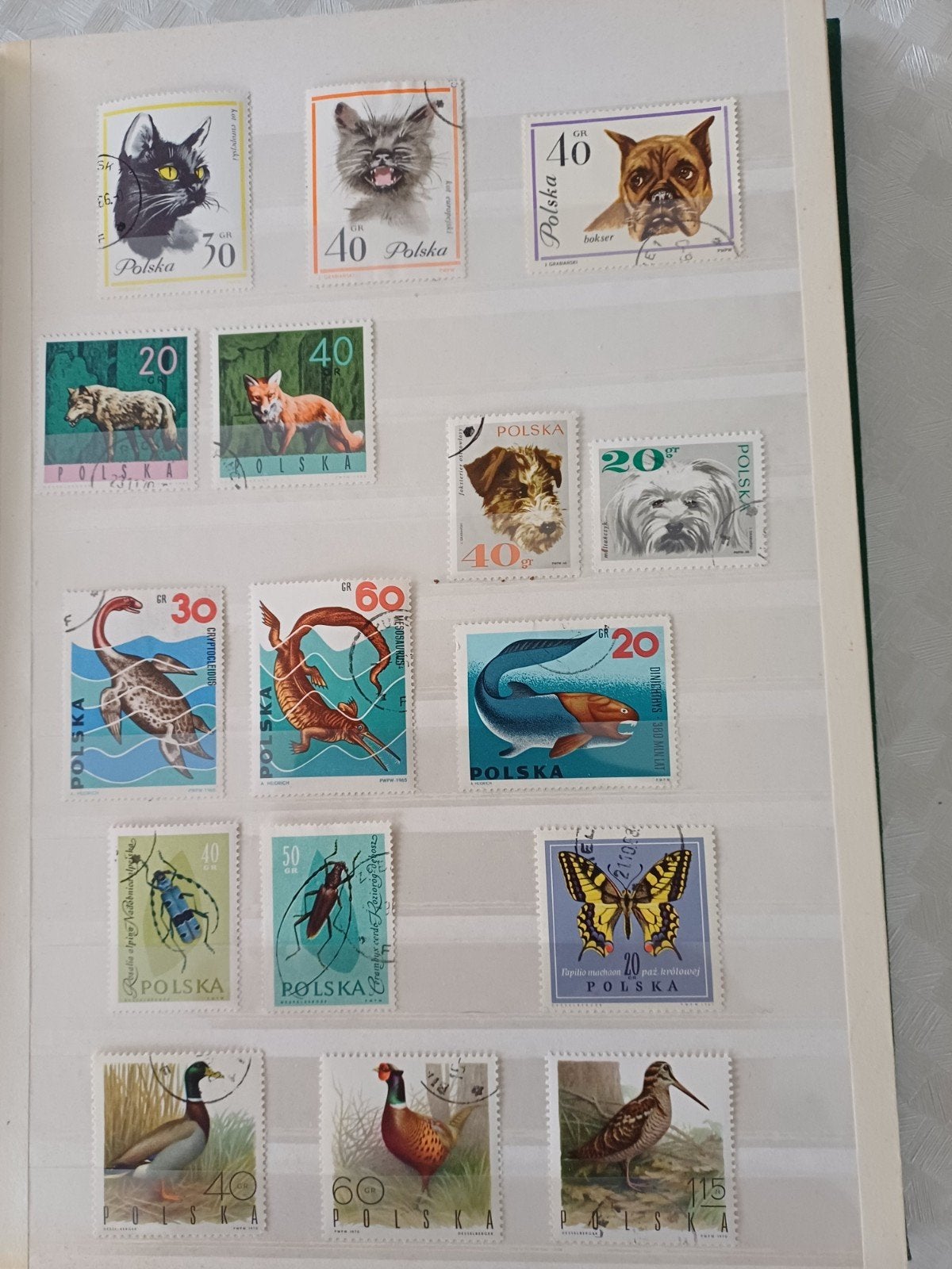 postzegels 26 p, van 50 tot 100 jaar oud, Polen,Oost-Europa., Postzegels en Munten, Ophalen