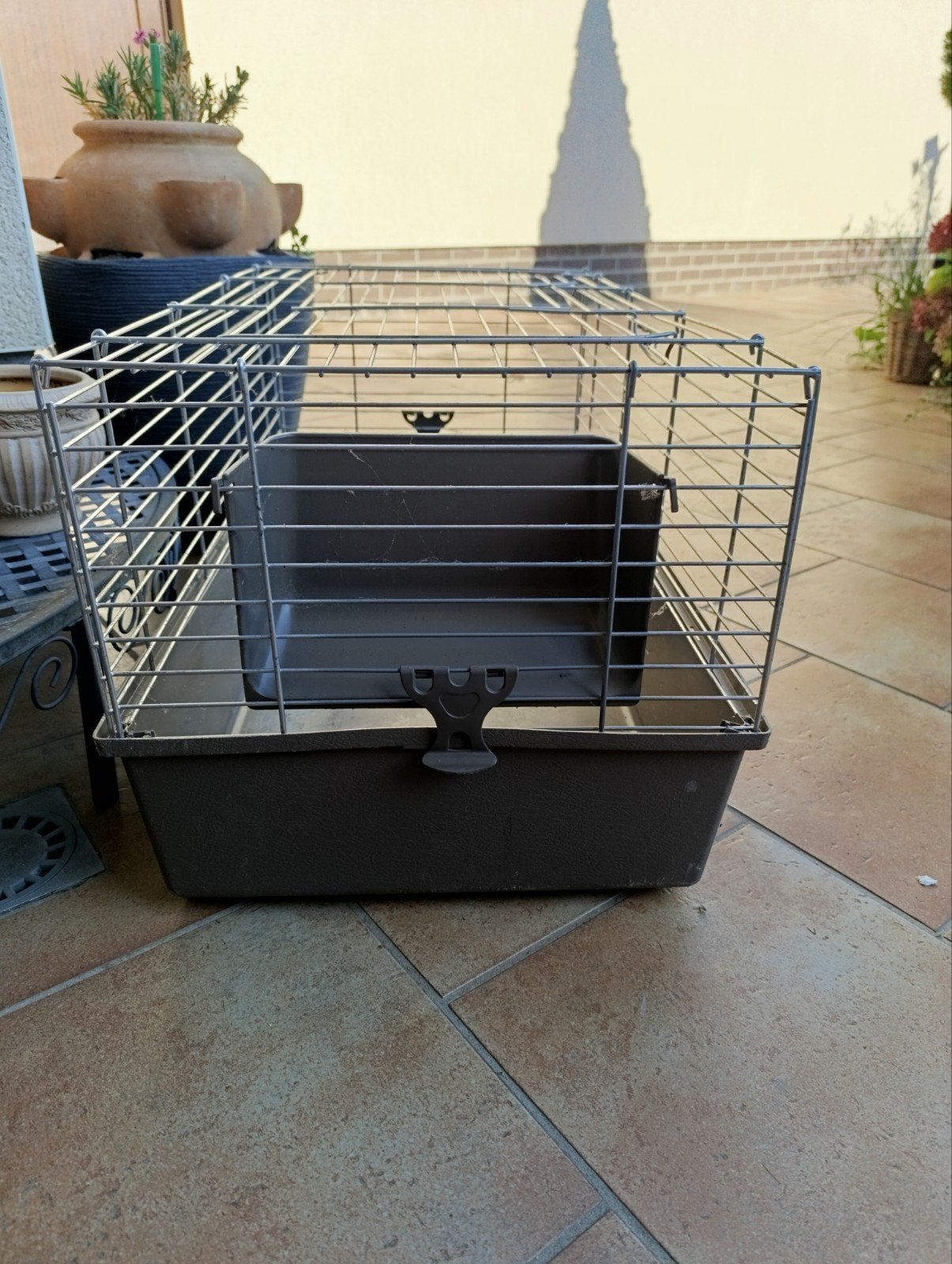 Cage pour rongeurs, Enlèvement, Utilisé, Cage, Cobaye