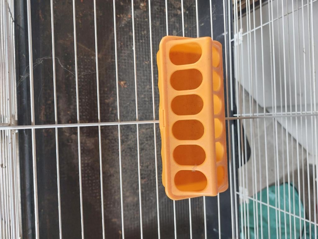 Drinkbakje en eetbakjes, Ophalen
