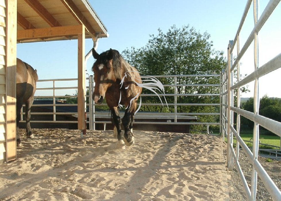 gegalvaniseerde omheining, Texas paneel, vangkooi, Opfok, 4 paarden of pony's of meer