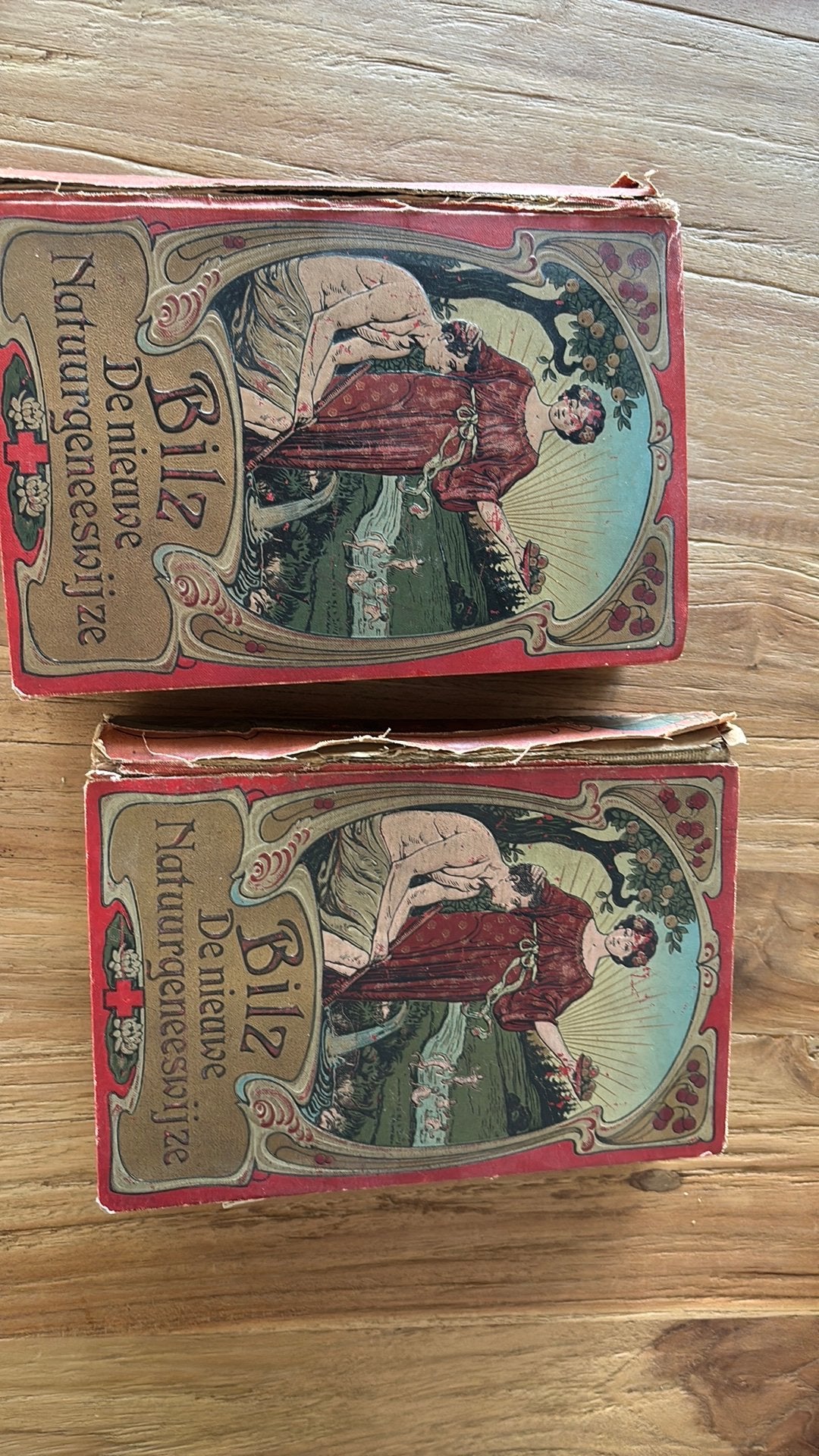 Oude natuurgeneeswijze boeken, Ophalen