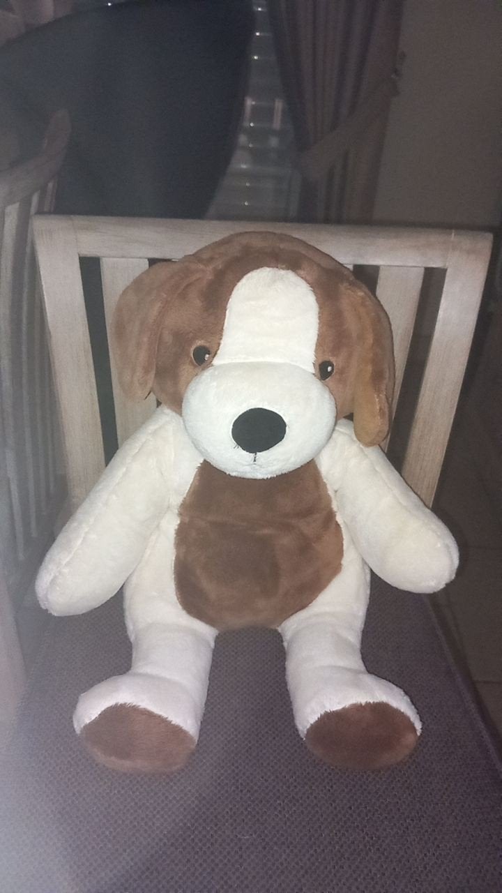 lotgenootje te koop, Enfants & Bébés, Jouets | Peluches, Overige karakters, Avec boîte, Autres marques, Chien