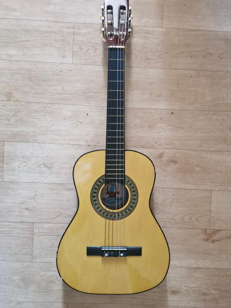 Parrot gitaar, Ophalen, Klassieke of Spaanse gitaar