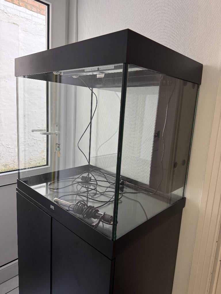Juwel Aquarium Lido 200 met meubel, Dieren en Toebehoren, Ophalen, Gebruikt, Leeg aquarium, Verwarming