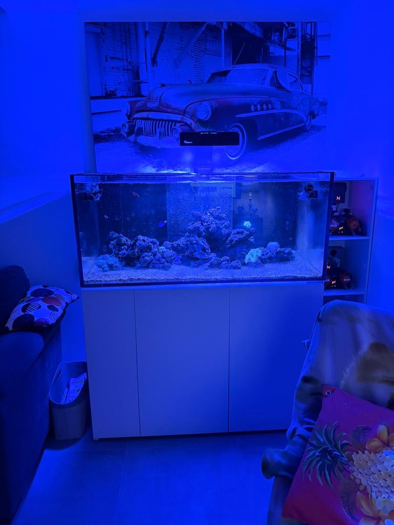 Aquarium aqua medic armatus 500 XD, Animaux & Accessoires, Enlèvement, Comme neuf