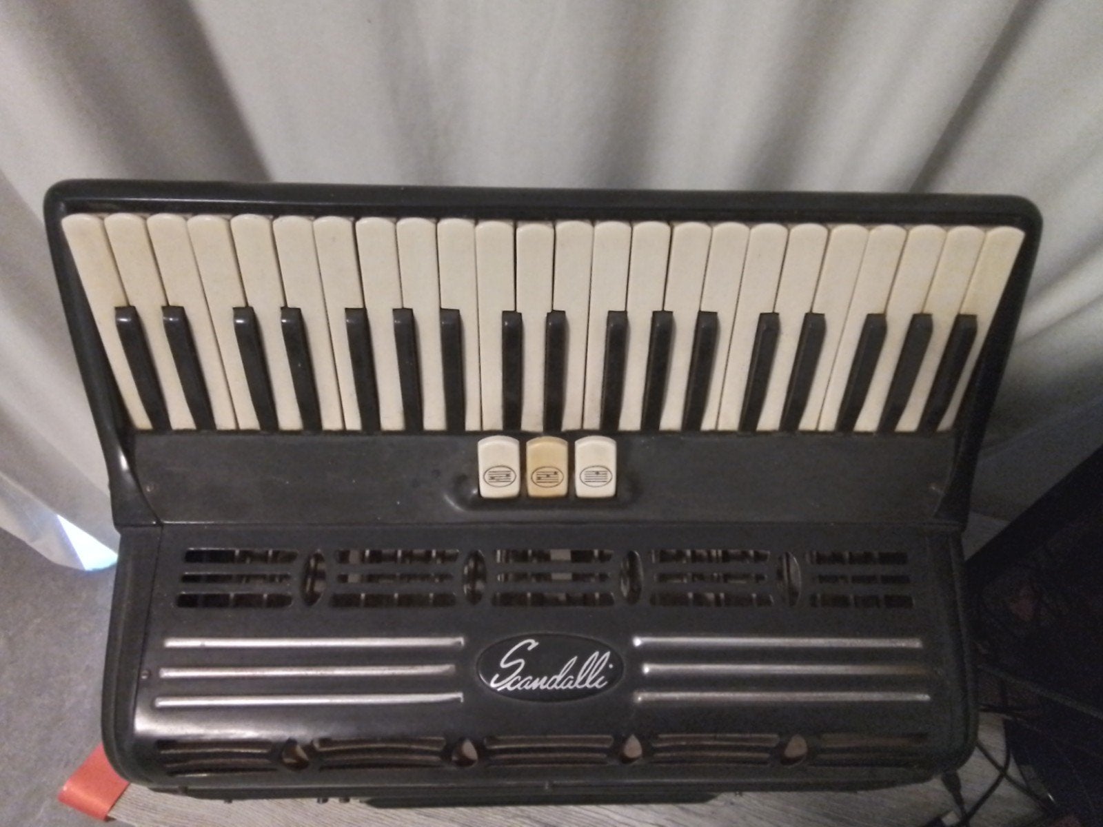 Accordeon, Musique & Instruments, Accordéons, Enlèvement