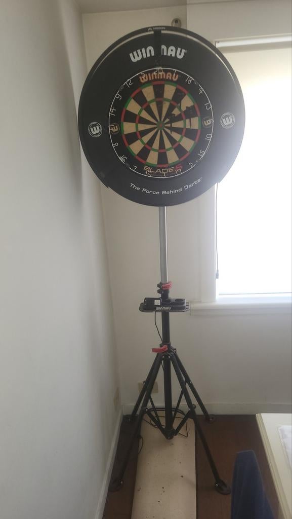 Dartbord met verlichting op verstekbare pekkel en matje., Ophalen, Dartbord