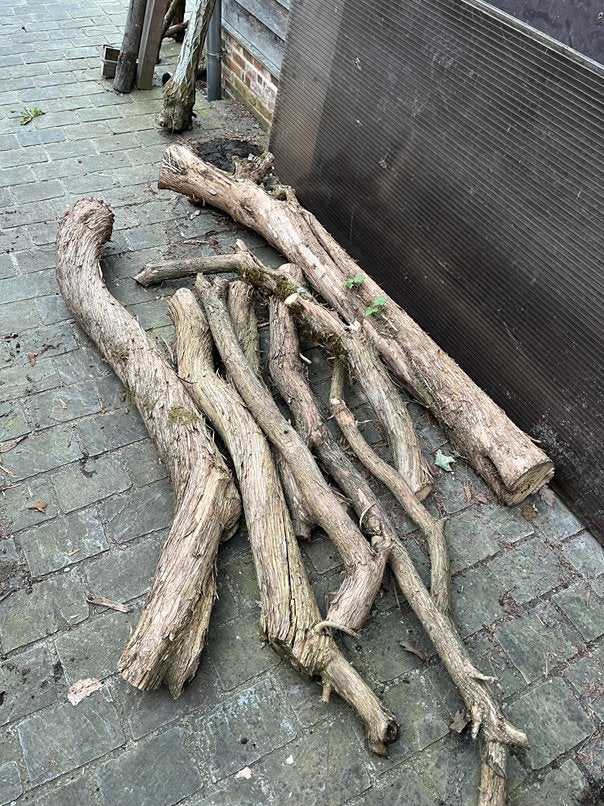 Seringenhout, Doe-het-zelf en Bouw, Hout en Planken, Ophalen, Gebruikt, Overige typen, 50 mm of meer