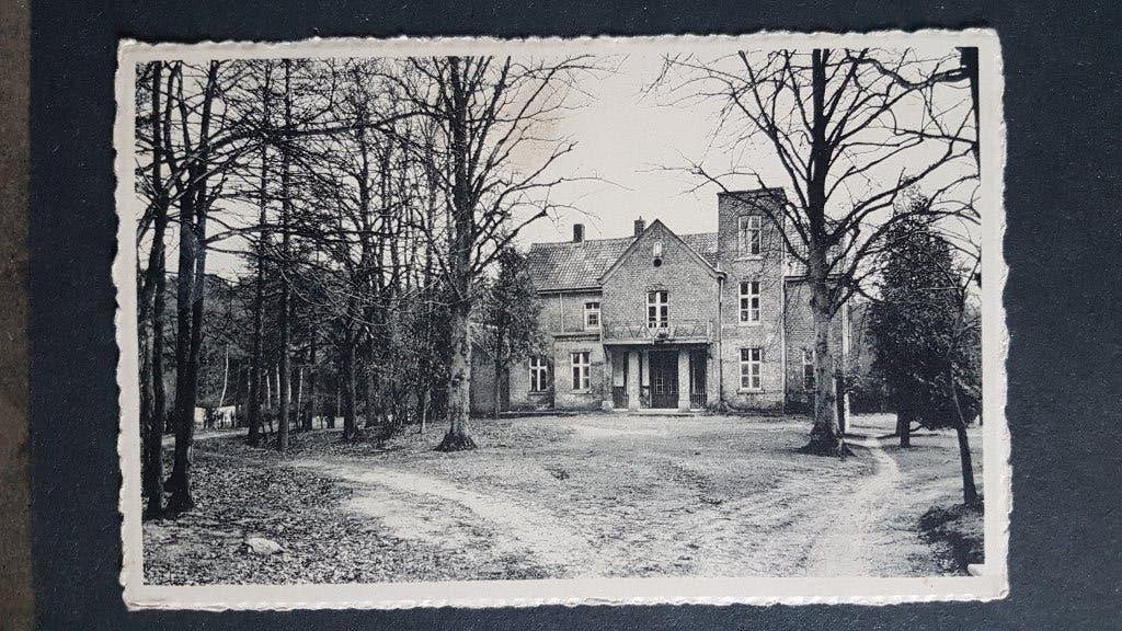 Postkaart Arendonk Arendonck Het Paviljoen Kampeerterrein, Verzamelen, Ophalen of Verzenden
