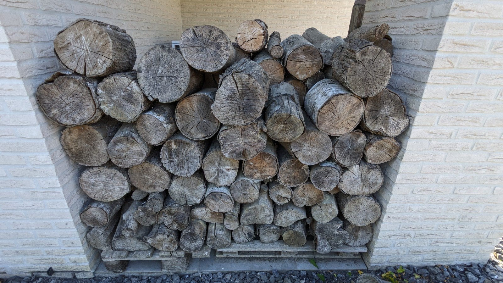 Bois de chauffage secs., Enlèvement, Neuf