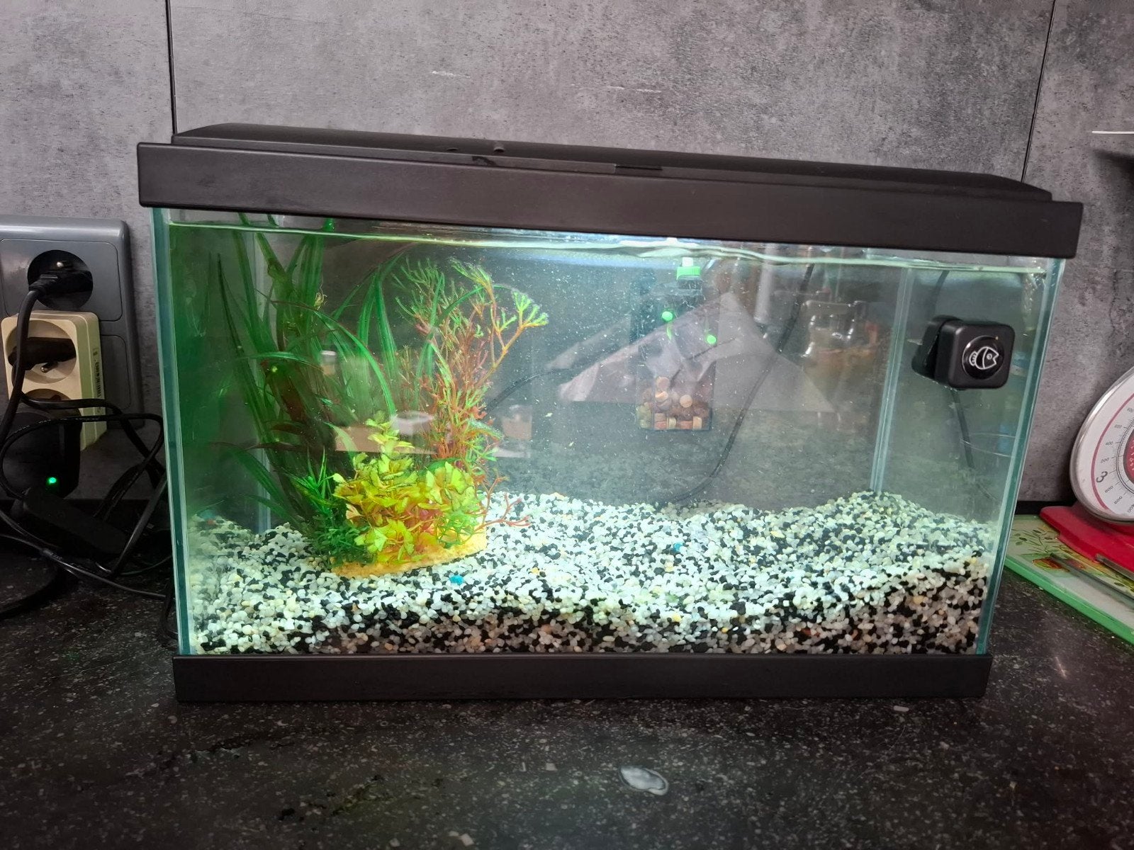 Aquarium et accessoires, Animaux & Accessoires, Poissons | Aquariums & Accessoires, Enlèvement, Filter