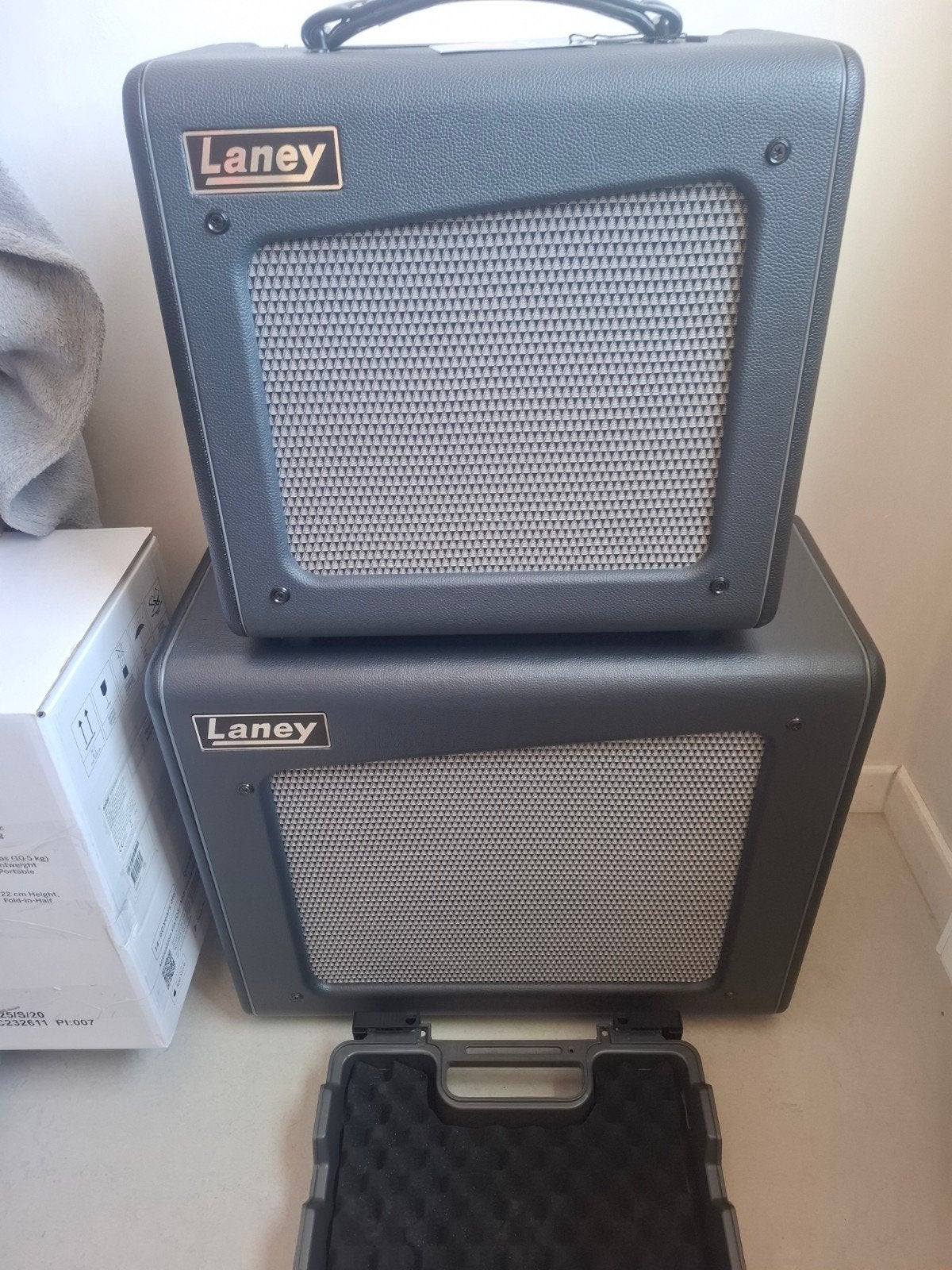 Laney Setup/, Enlèvement