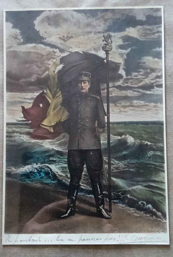 LE ROI ALBERT 1ER DANS LA PLAINE DE L'YSER, Collections, Enlèvement ou Envoi, Comme neuf, Carte, Photo ou Gravure