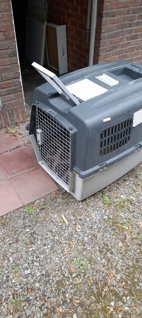 CAGE TRANSPORT CHIEN    NORMES IATA, Enlèvement, Utilisé
