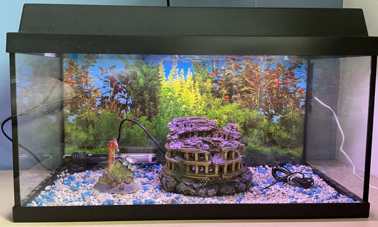 Aqarium 60l, Animaux & Accessoires, Comme neuf, Enlèvement, Éclairage ou Chauffage, Accessoires inclus