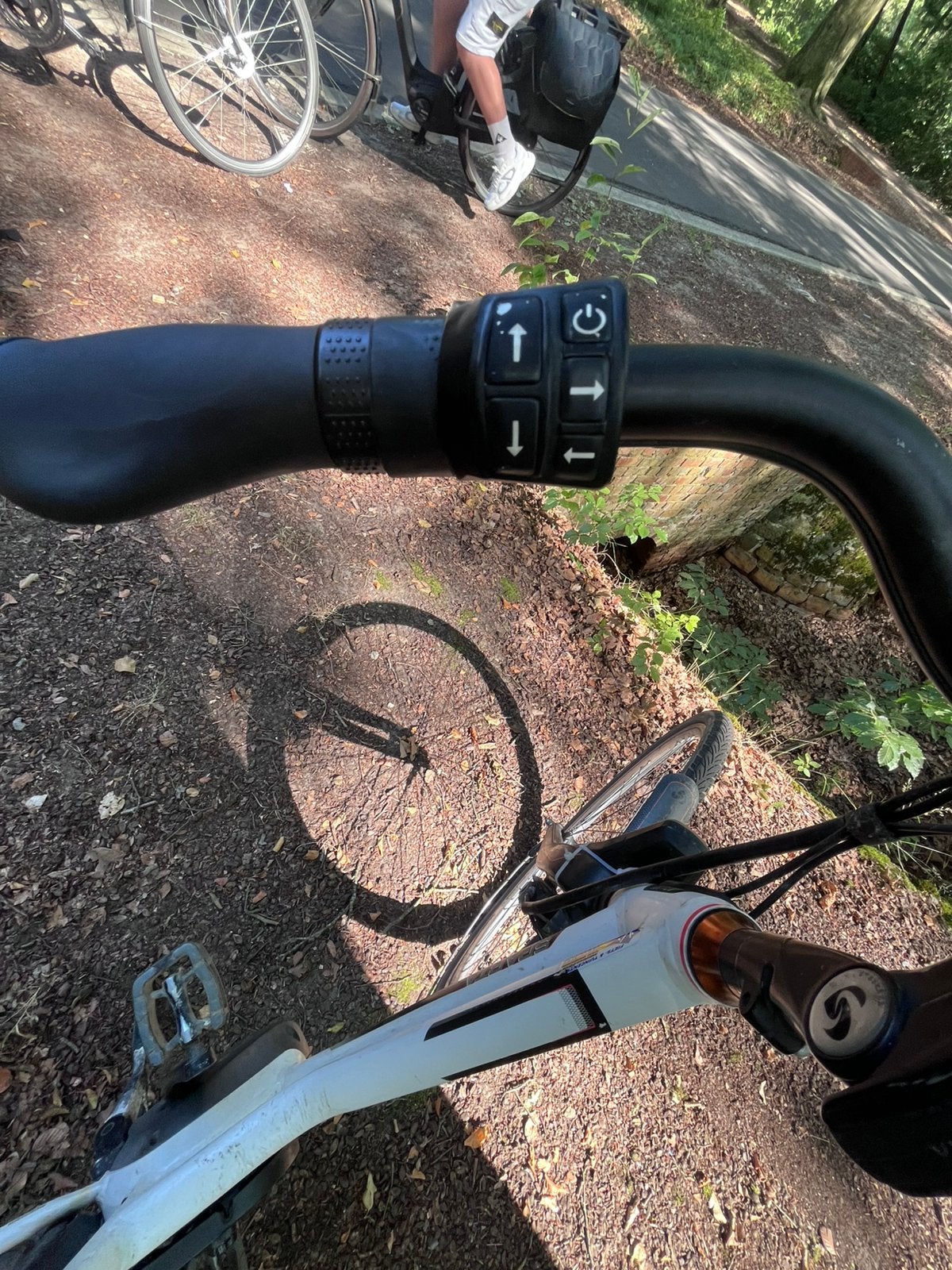 Electrische fiets, Fietsen en Brommers, Fietsen | Ligfietsen, Velgrem, Ophalen, Overige merken, Zo goed als nieuw
