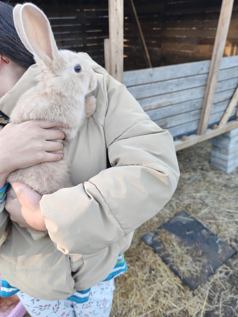 Mooie konijntjes 2 maanden oud 10 euros