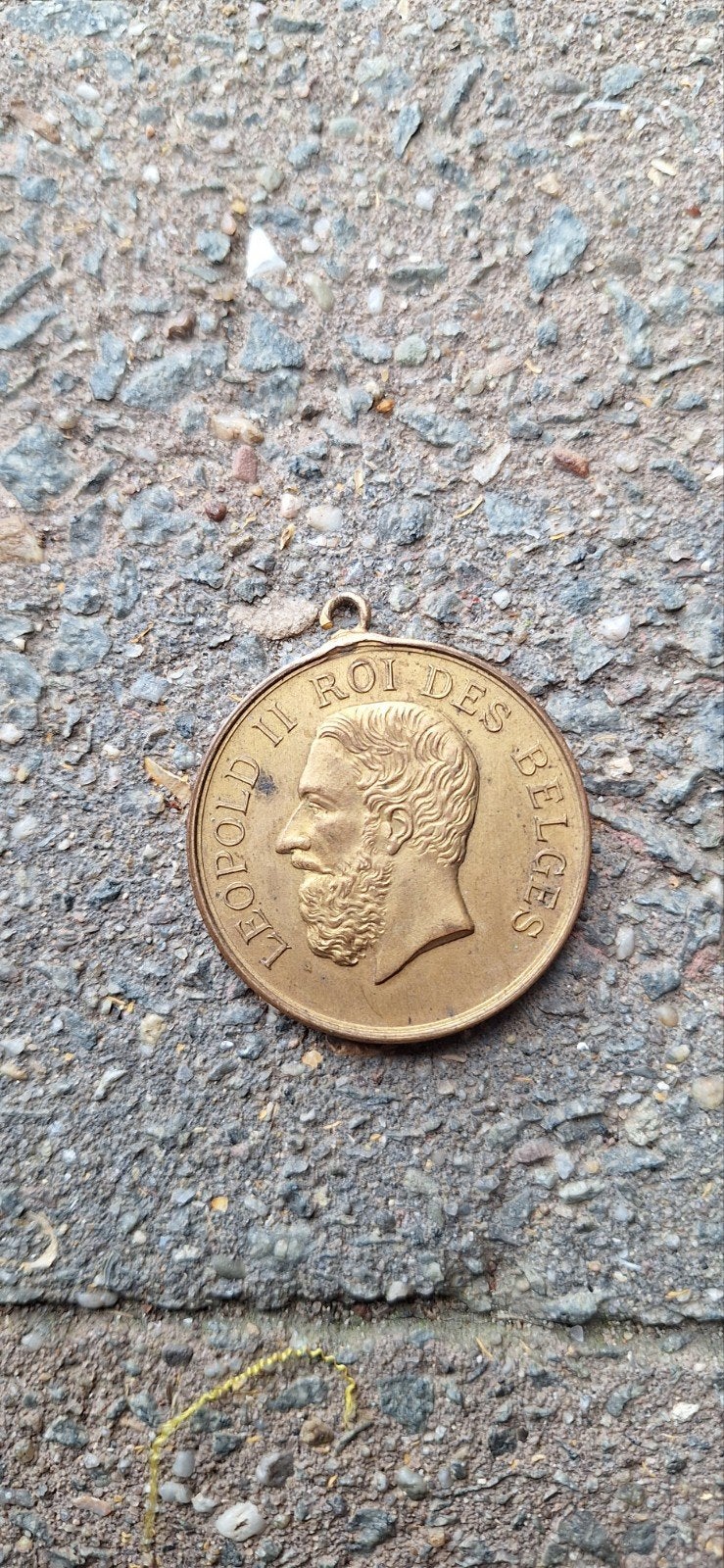 Médaille 4, Collections, Enlèvement