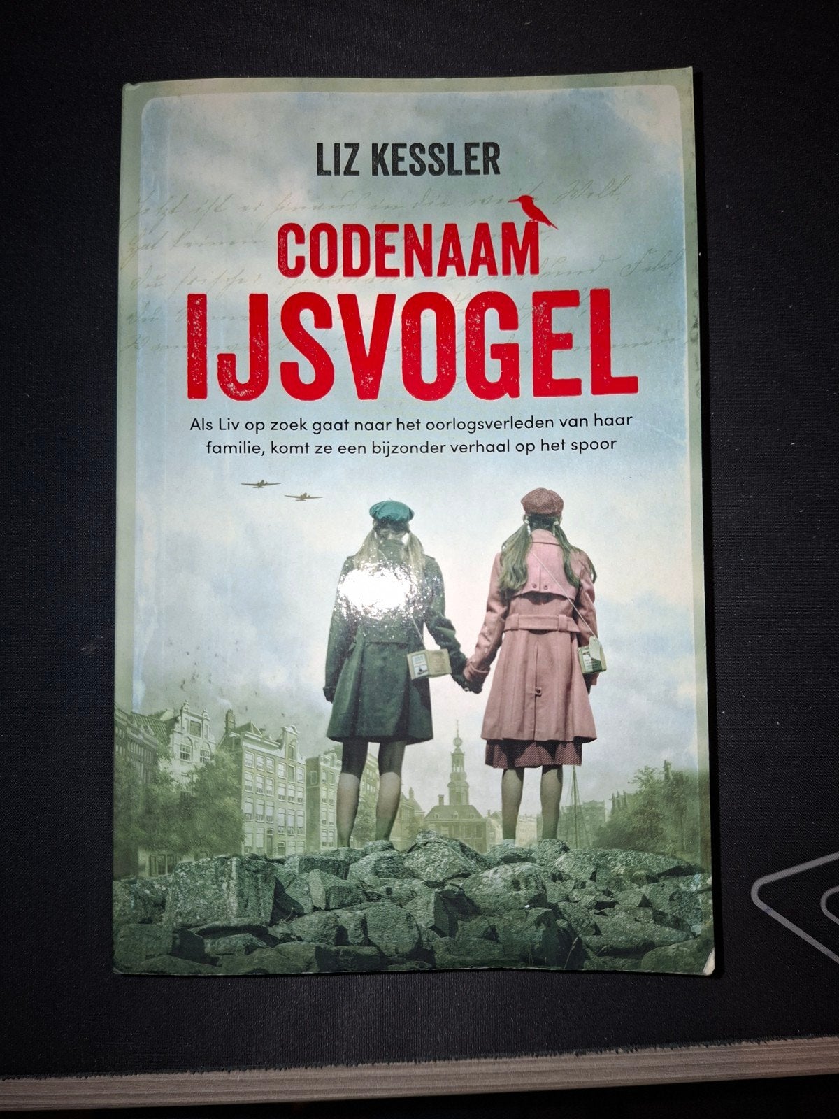 Liz Kessler - Codenaam IJsvogel, Enlèvement, Liz Kessler