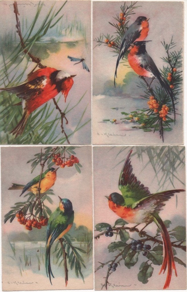 OISEAUX - HEB, Collections, Enlèvement ou Envoi, Avant 1920, Non affranchie
