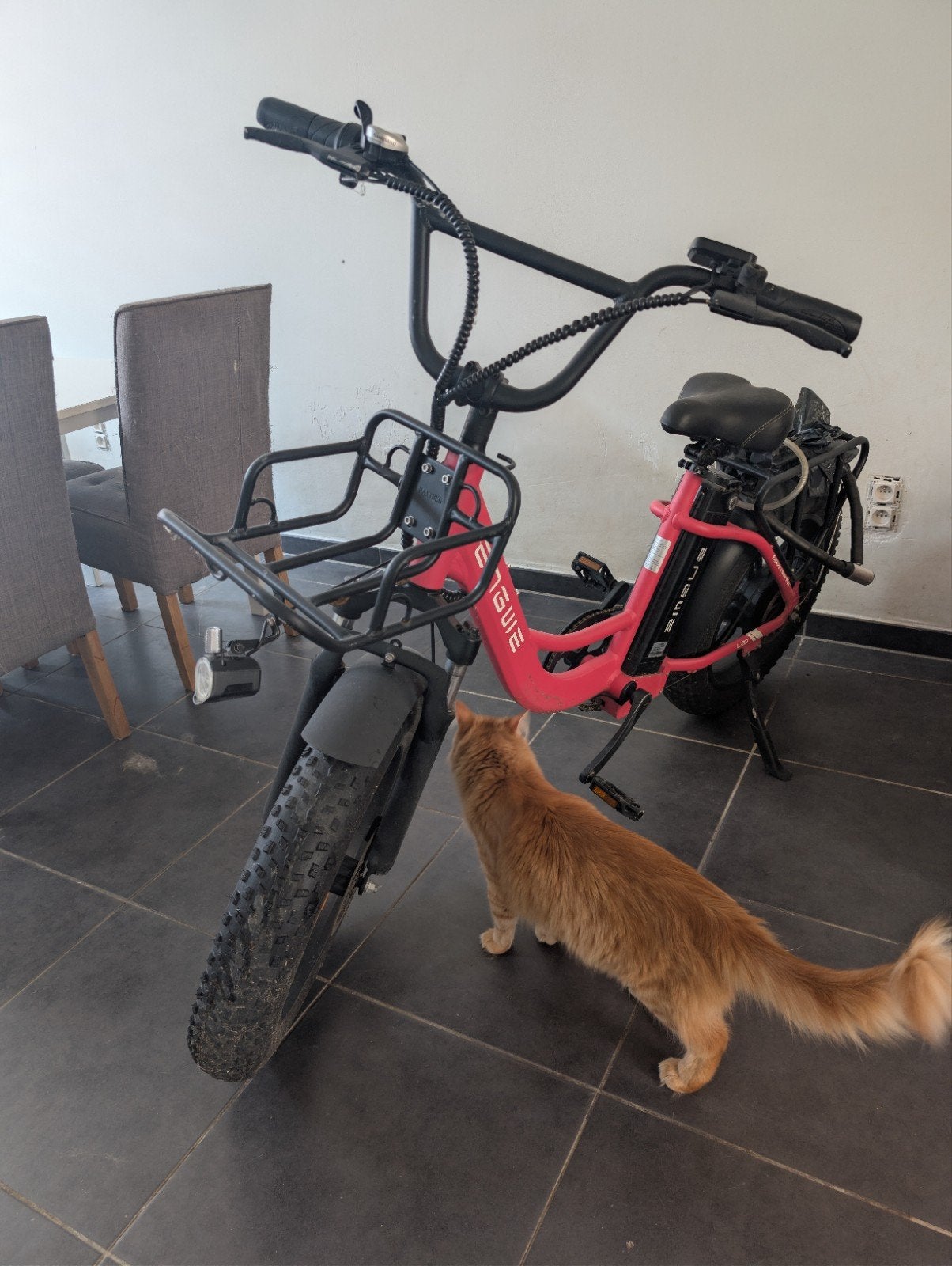 eletric bike, Fietsen en Brommers, Brommers | Tomos, Ophalen