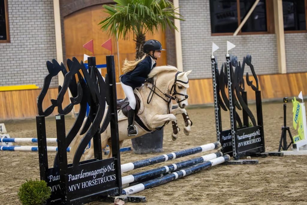Knappe b pony, Animaux & Accessoires, Poneys, Poney B (1.17 m à 1.27 m), B, Hongre, Avec pedigree