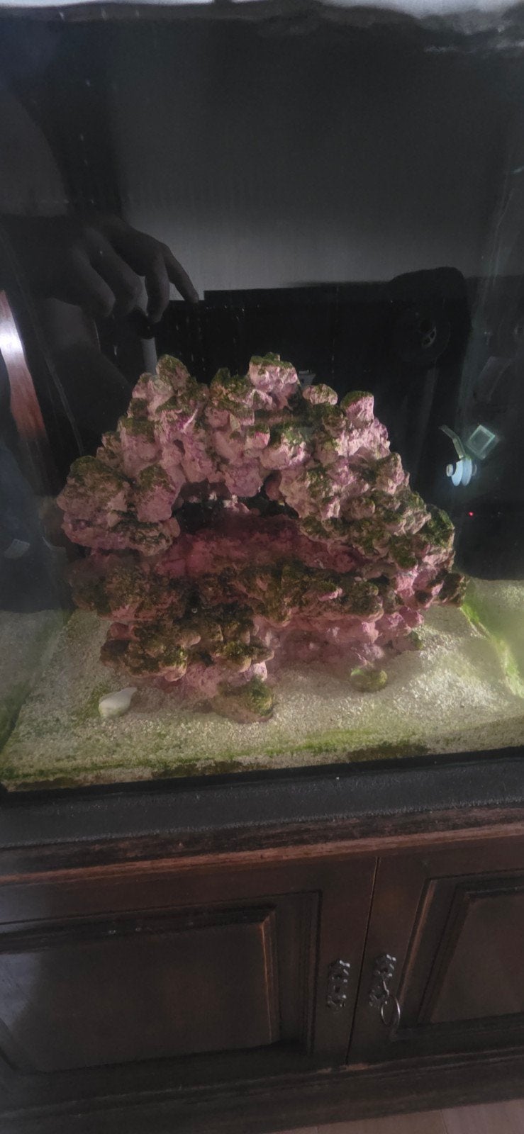 Zeeaquarium Rifsteen Scape 10kg (Ingedraaid, Ophalen