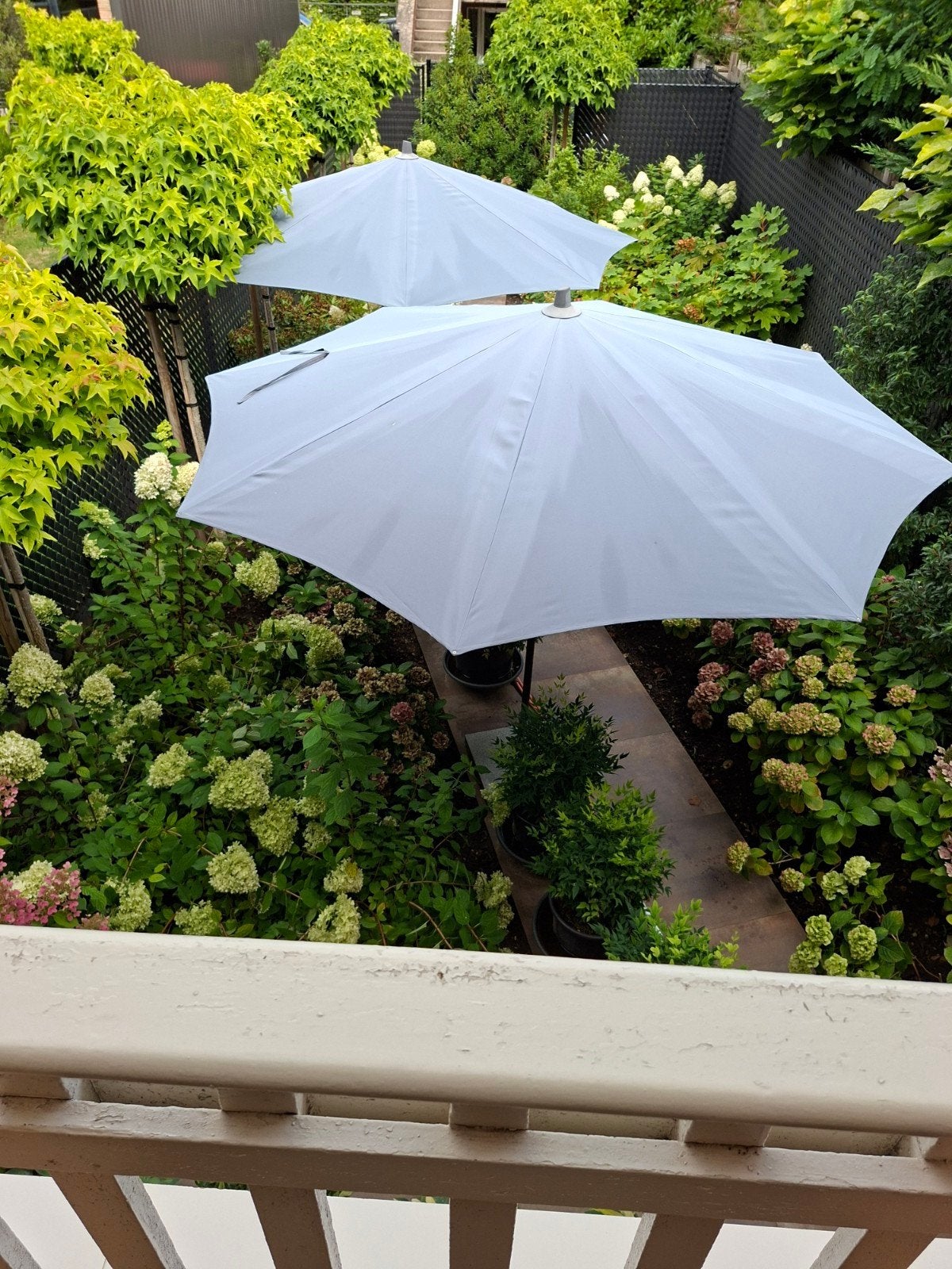 2 parapluies, Étanche, Comme neuf, Enlèvement, 2 à 3 mètres
