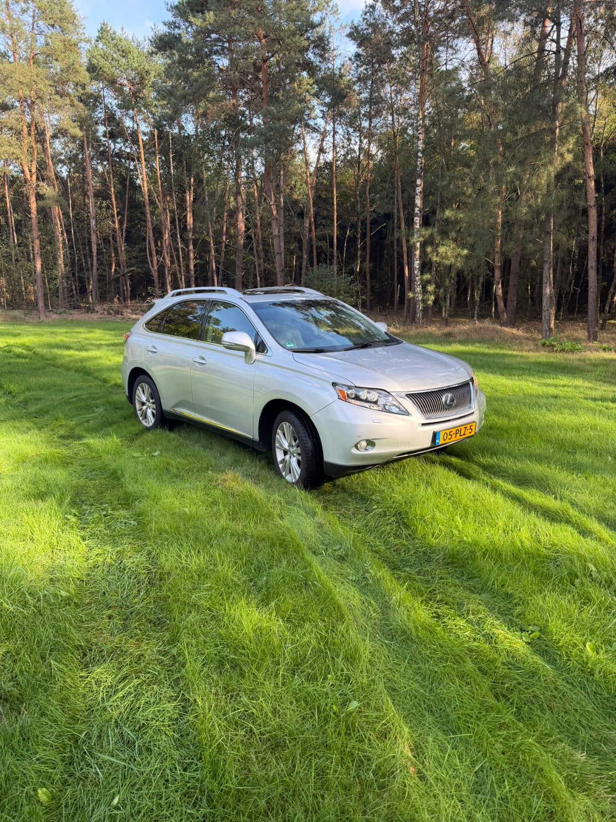 Lexus RX(-H) 450H 3.5 V6 Hybrid 4WD CVT 2011 Grijs, Autos, Cuir, Argent ou Gris, Achat, 2000 kg