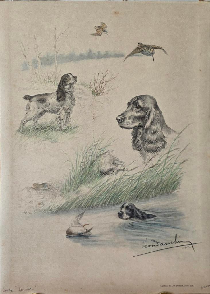 Léon Danchin Étude de Cockers lithographie ancienne, Antiquités & Art, Enlèvement