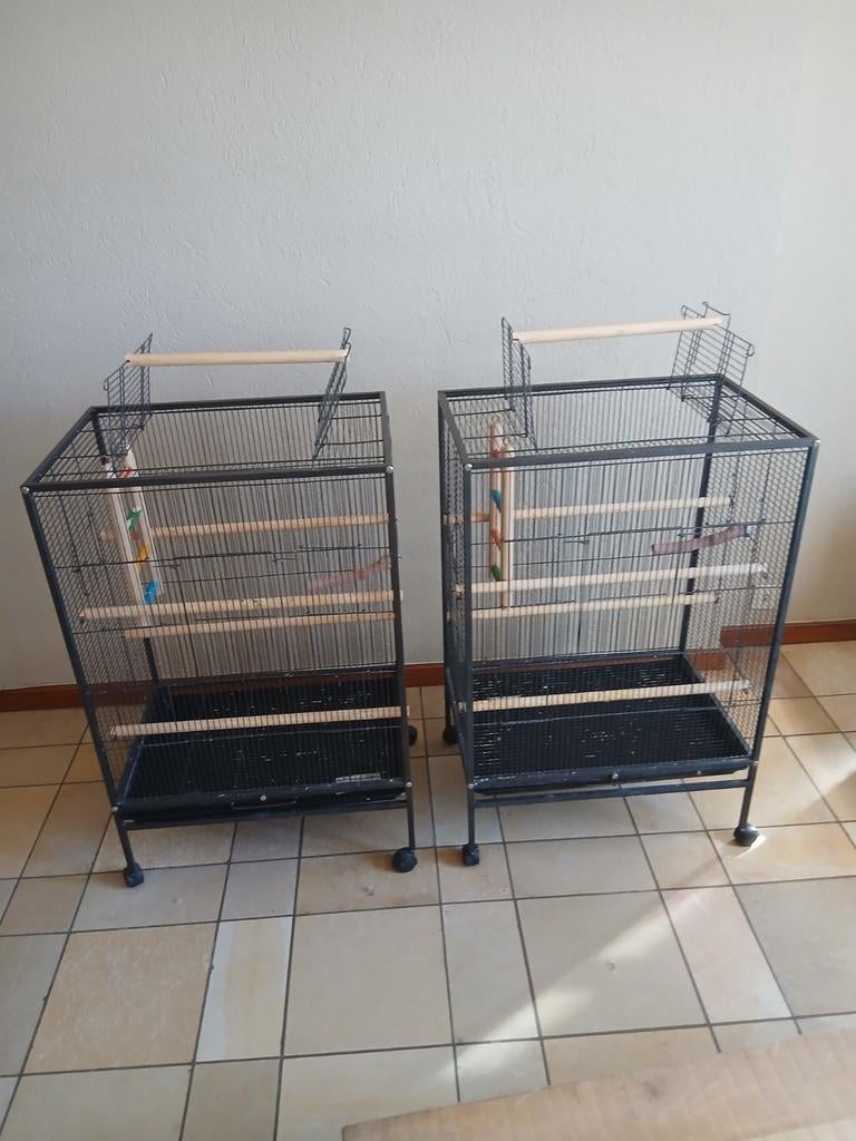 Cages pour perroquet, Enlèvement
