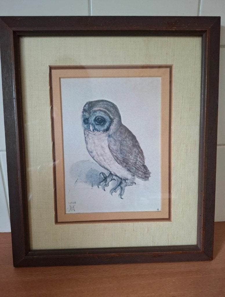 Reproductie De Bosuil - Dürer - stempel + monogram, Antiek en Kunst, Overige technieken, Ophalen of Verzenden, Ingelijst, Flora en Fauna