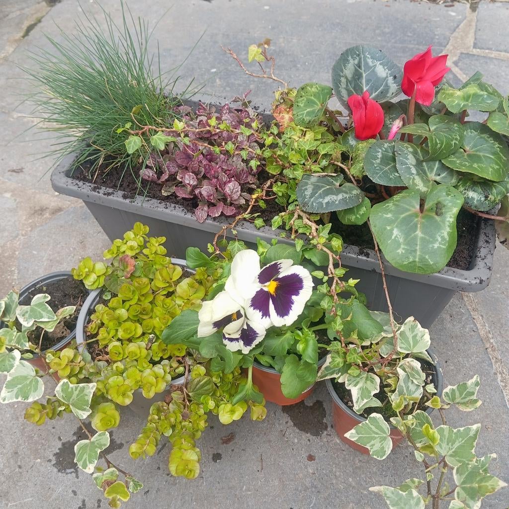 Pot de fleur à suspendre ou à poser, Ophalen