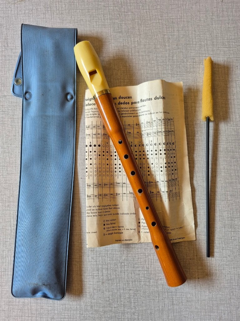 HOHNER Flûte à bec en bois ( vintage ), Musique & Instruments, Instruments à vent | Flûtes à bec, Utilisé, Enlèvement ou Envoi