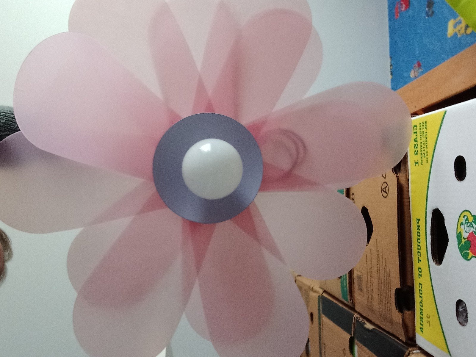 lamp bloem, Ophalen