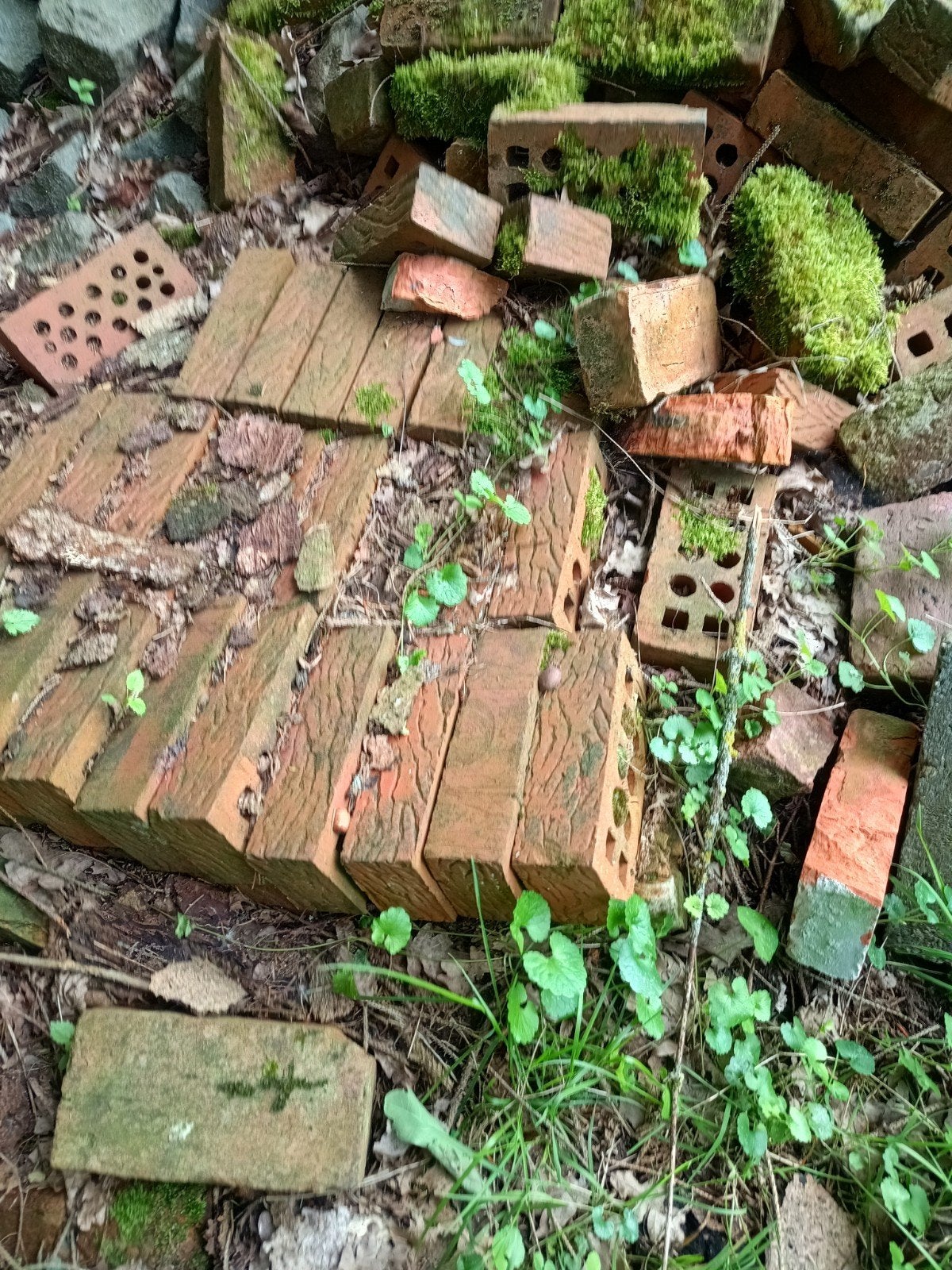 Gratis bakstenen, Tuin en Terras, Ophalen