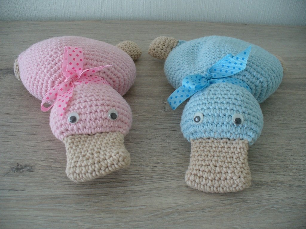 Selfmade: 2 leuke eendjes, Hobby en Vrije tijd, Ophalen of Verzenden, Nieuw