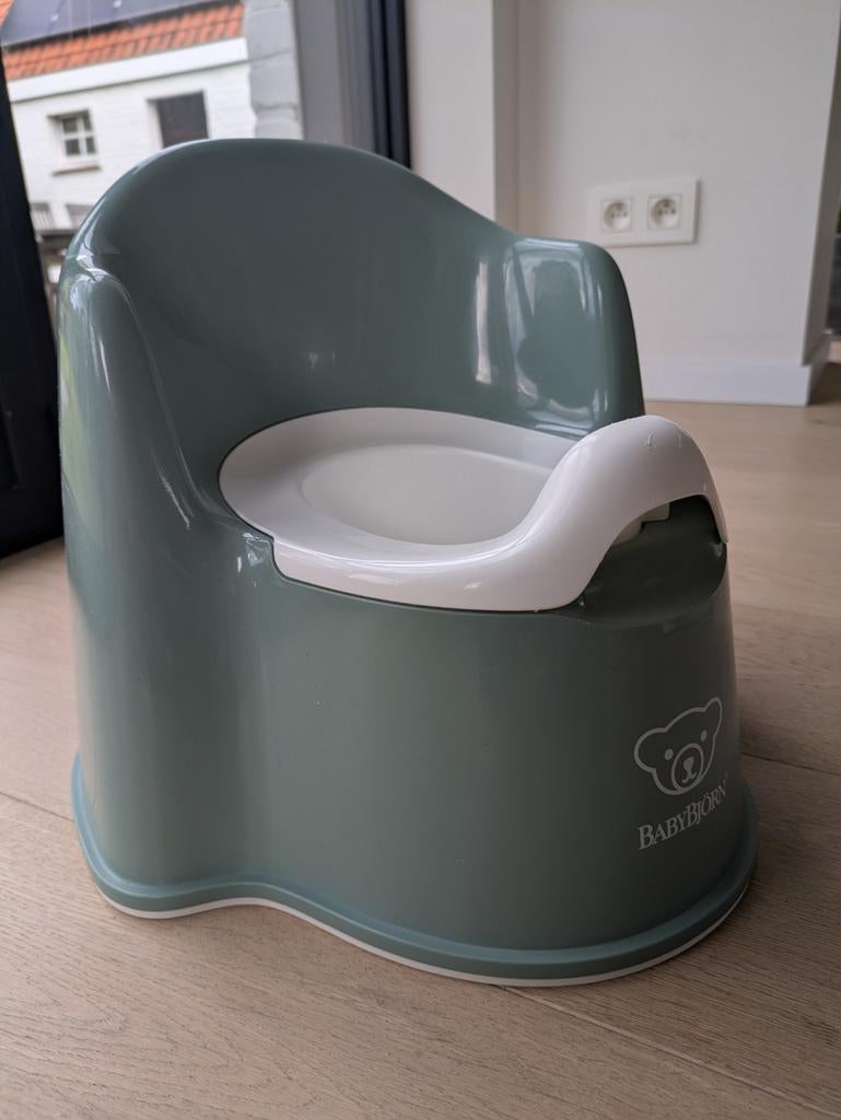 Pot Babybjörn, Enlèvement