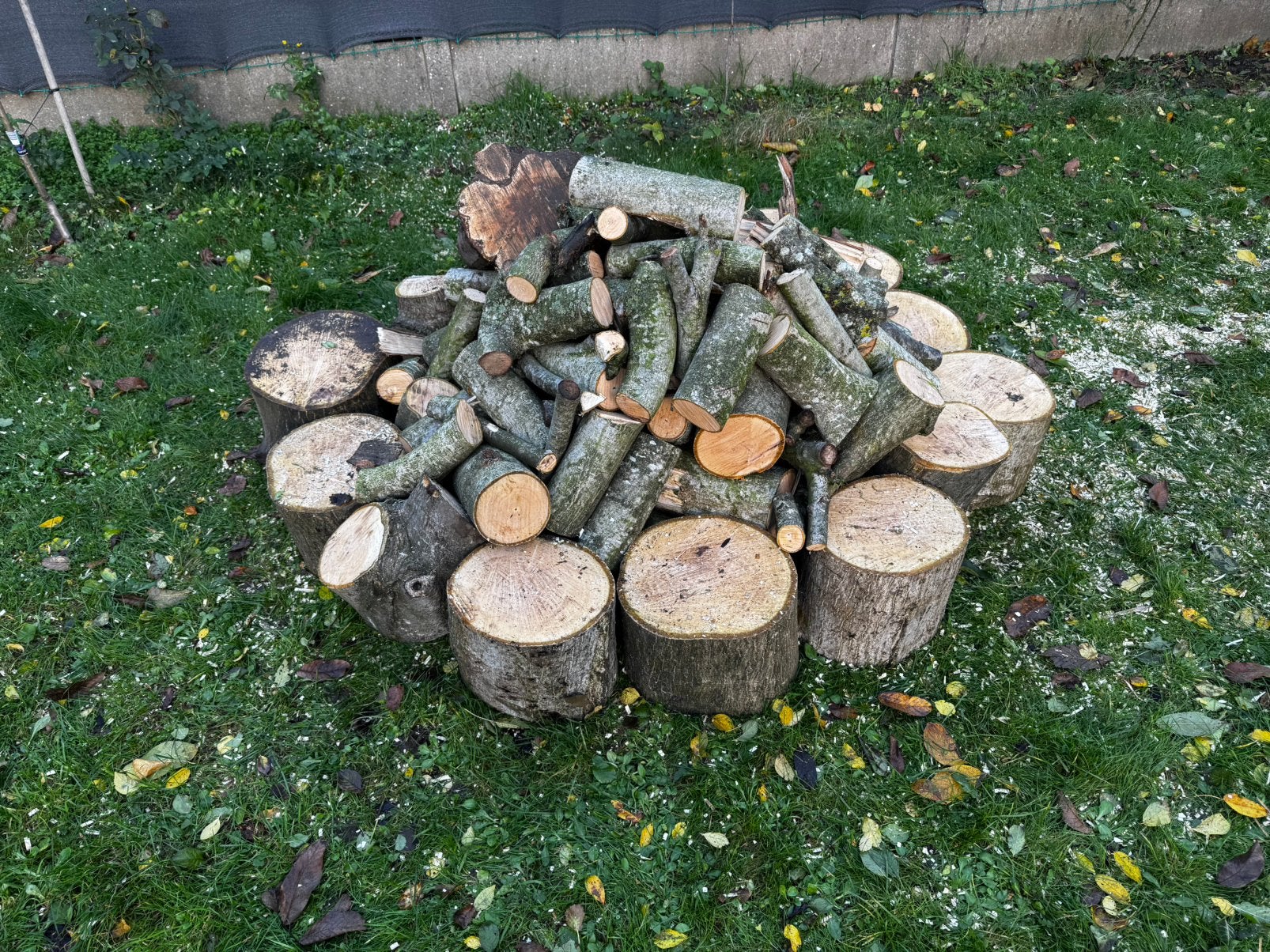 Hout Gratis, Tuin en Terras, Minder dan 3 m³, Ophalen, Eikenhout, Stammen