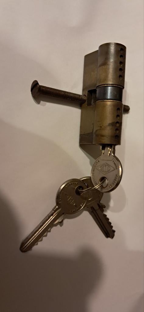 Cylinderslot 6 cm met 3 sleutels, Ophalen
