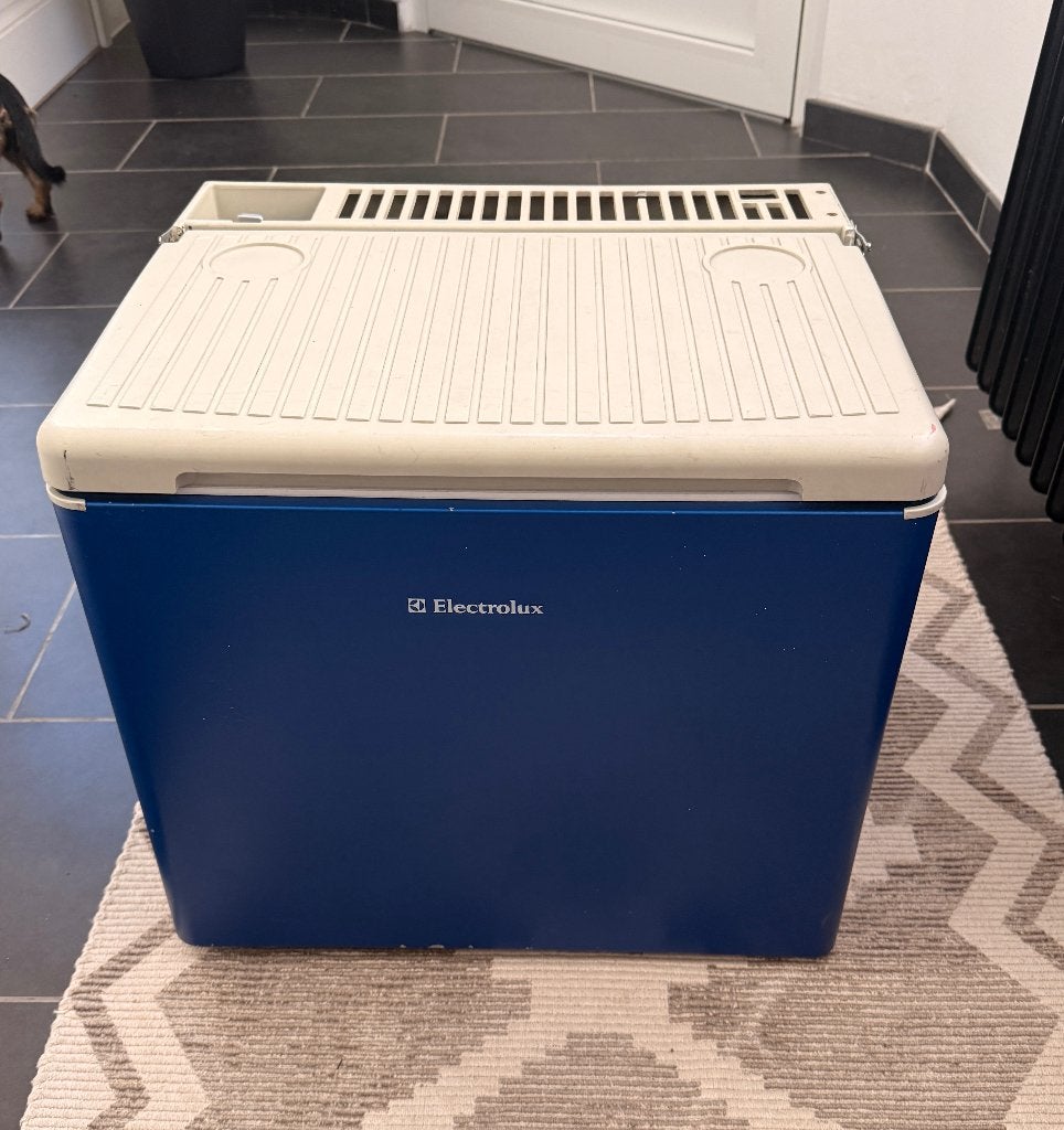Electrolux RC1600EG absorptiekoelkast, Ophalen of Verzenden, Gebruikt, Koelbox, Elektrisch