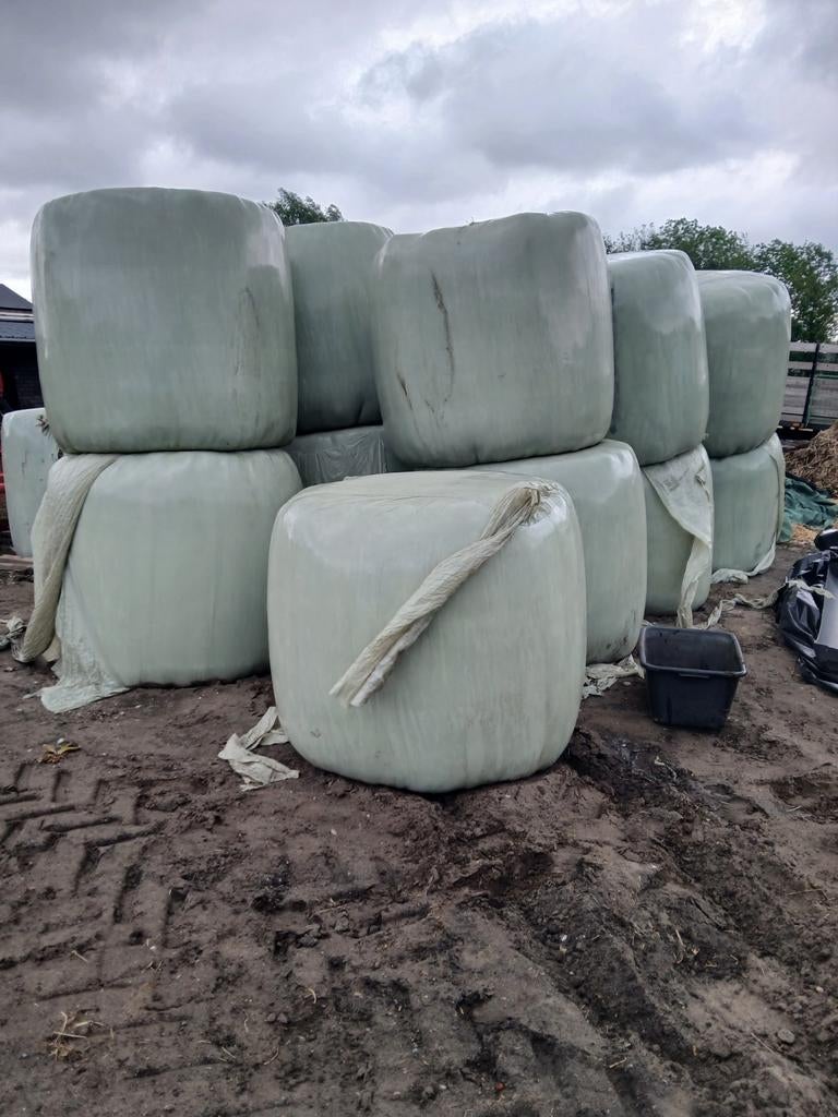 Ronde pakken voordroog te koop, Zakelijke goederen, Landbouw | Veevoer, Ophalen of Verzenden