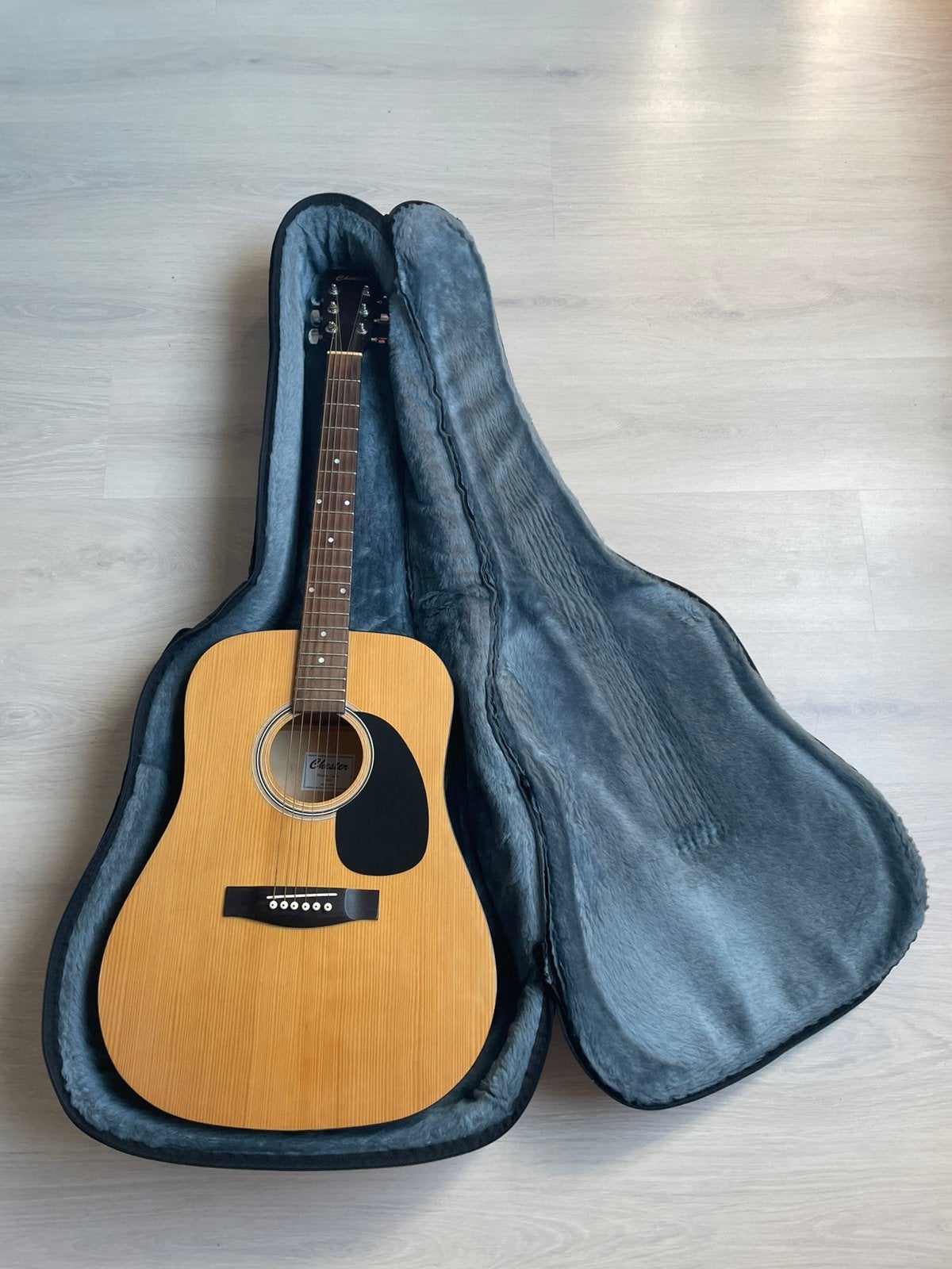 Chester Western gitaar 600N, Ophalen of Verzenden, Gebruikt, Western- of Steelstringgitaar, Met koffer