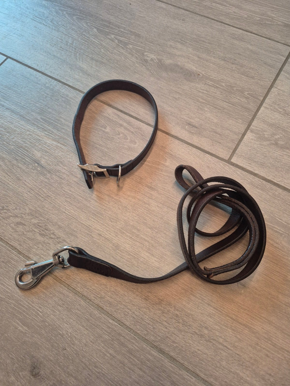 hondenleiband, Dieren en Toebehoren, Ophalen of Verzenden