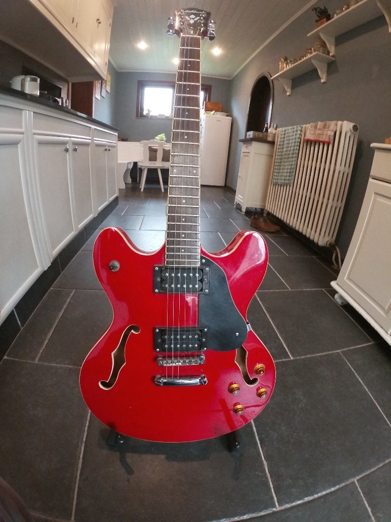 Hollow Body gitaar, Ophalen, Gebruikt, Hollow body, Overige merken