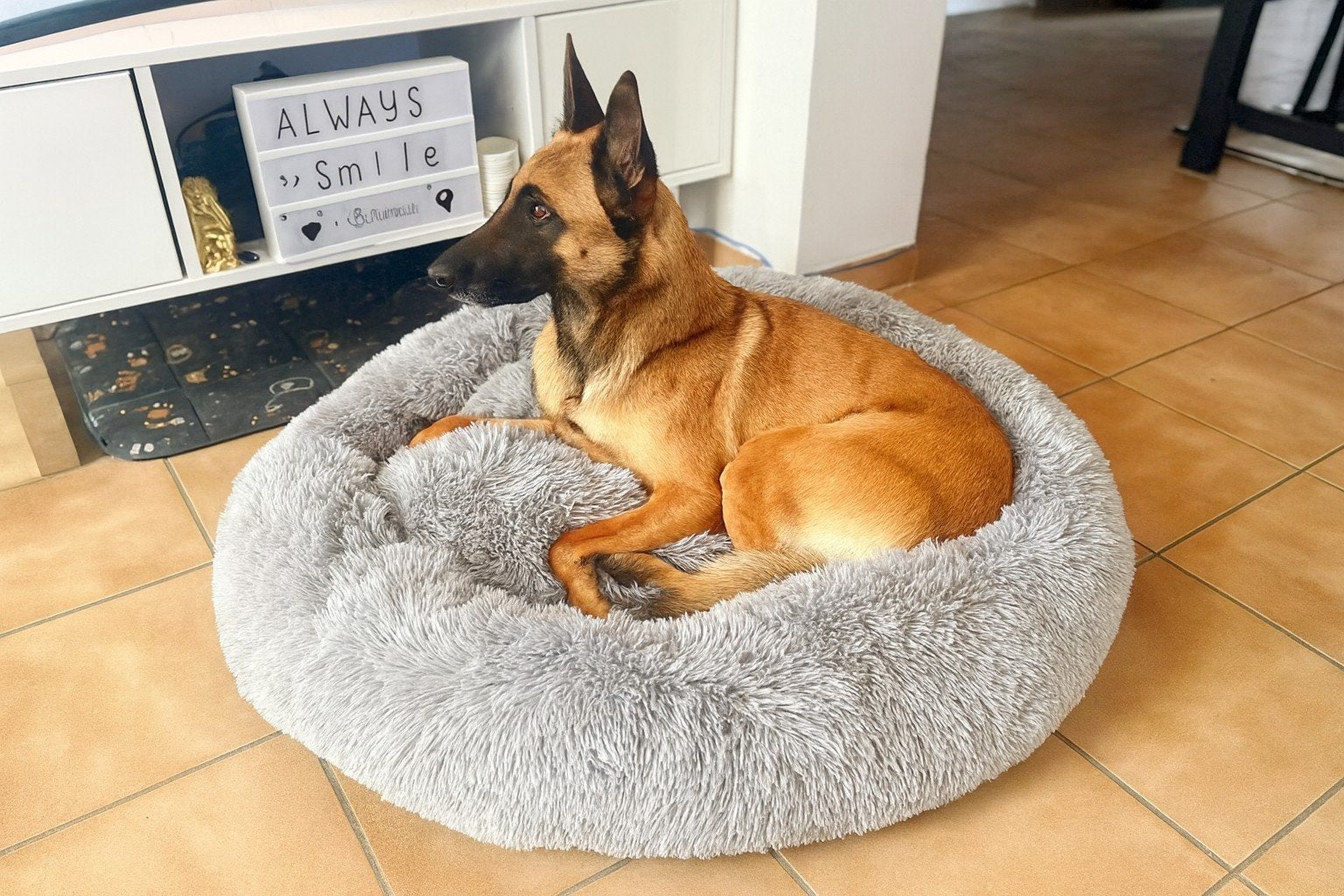 Panier XXL 100 cm – Ultra moelleux & Neuf, Ophalen of Verzenden