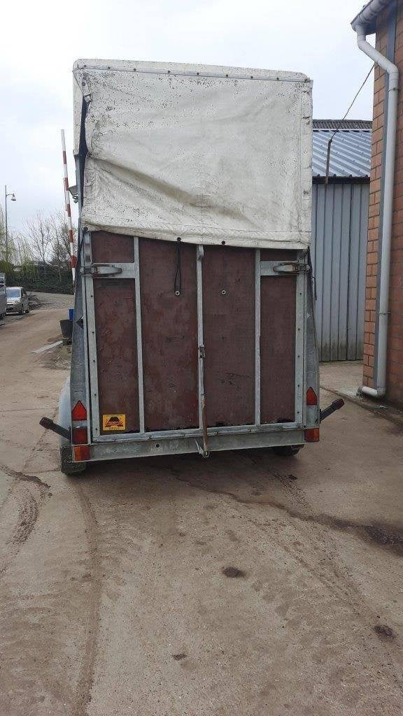 remorque pour chevaux, Enlèvement, Utilisé, Aluminium, Remorque 2 chevaux