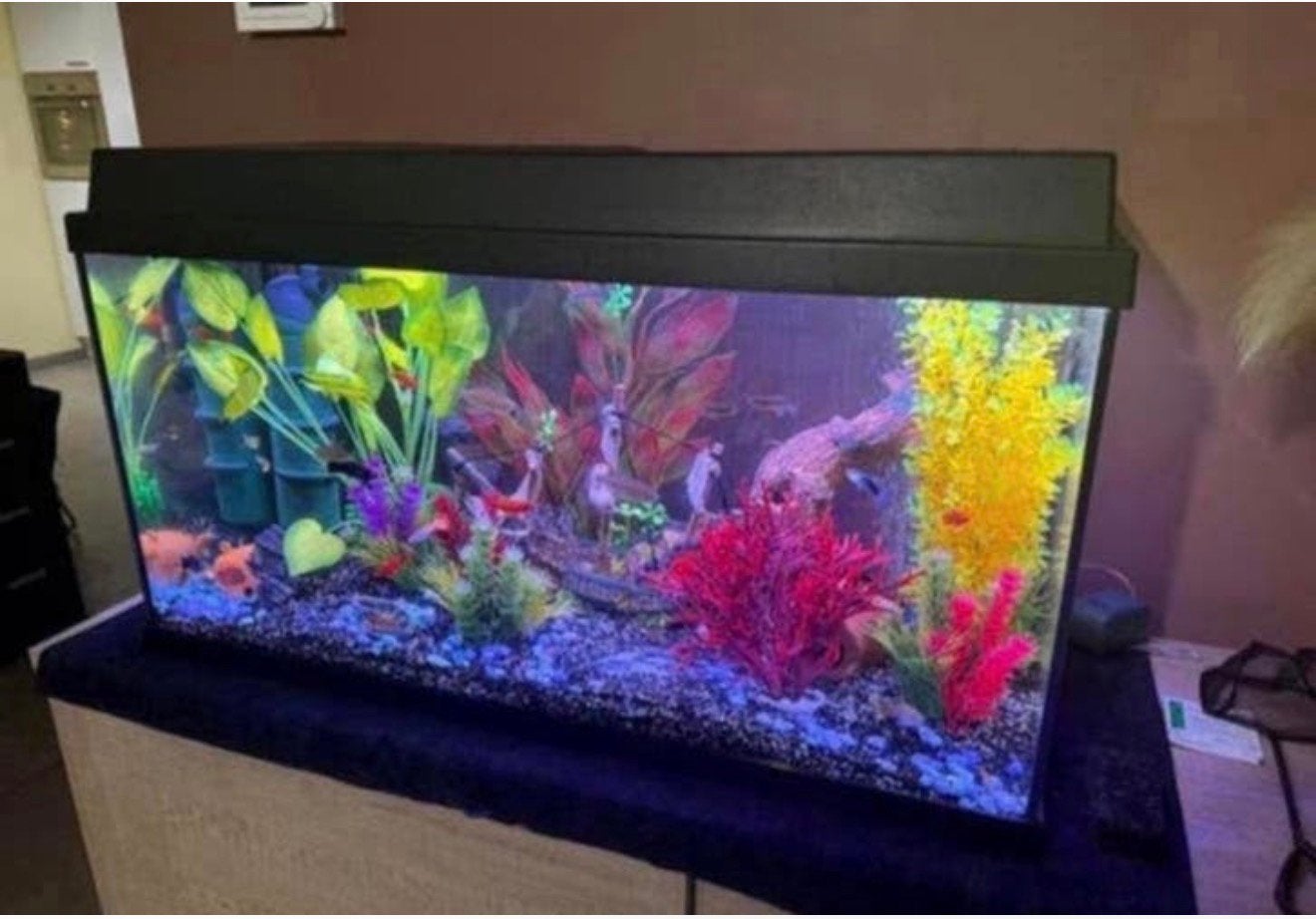 Aquarium leeg, Ophalen, Zo goed als nieuw, Leeg aquarium